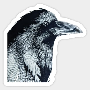 Raven of Interest Sticker